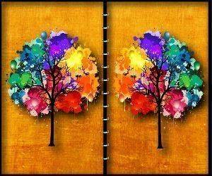 Forest Spot the Difference Puzzle Game - Observation Puzzle