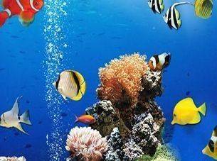 Sea Underwater Difference Puzzle Game Online - Spot the Difference Game