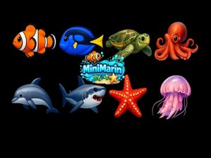 MiniMarin Fish Survival Game