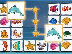 Connect Master: Adventure Puzzle Game