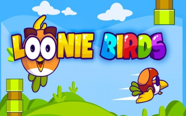 Loonie Birds: Endless Arcade Flyer