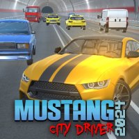 Mustang City Drive Adventure